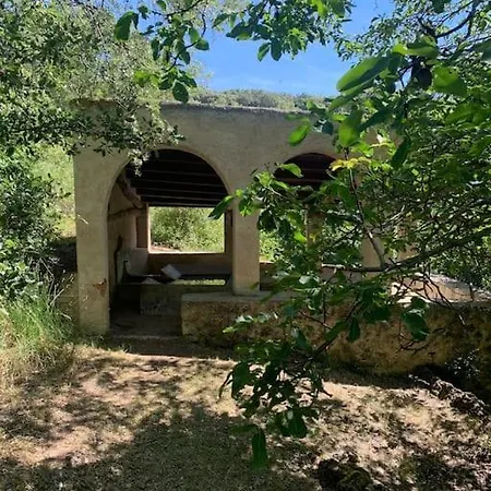 La Lavanda Lugar De Ensueño En La Alcarria El Olivar (Guadalajara)
