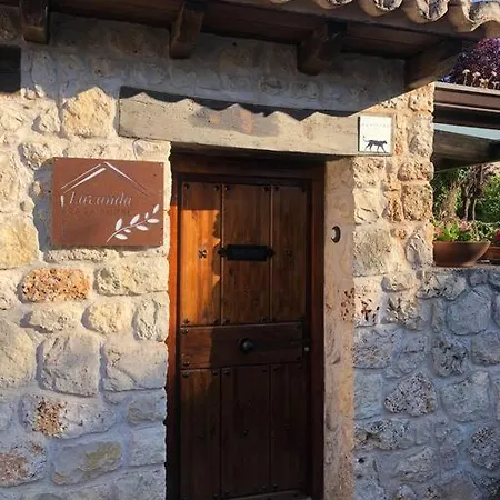 La Lavanda Lugar De Ensueño En La Alcarria